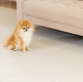 Load image into Gallery viewer, Pet Play Folding Mat 7mm Thickness