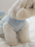 Load image into Gallery viewer, My Favorite Color Ops - Baby Blue