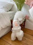 Load image into Gallery viewer, Cupid Bear Ops