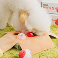 Load image into Gallery viewer, Mixed Fruits Box Nosework Toy