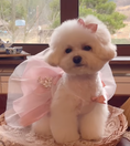 Load image into Gallery viewer, Flower Garden Fusion Hanbok