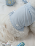 Load image into Gallery viewer, My Favorite Color Sleeveless - Baby Blue