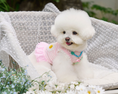 Load image into Gallery viewer, Daisy Stripe Ops - Baby Pink