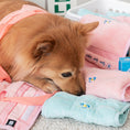 Load image into Gallery viewer, Towel Nosework Toy