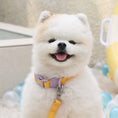 Load image into Gallery viewer, Waterproof Collar (Macaron)
