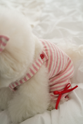 Load image into Gallery viewer, Strawberry Milk Flare Pants