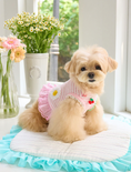 Load image into Gallery viewer, Daisy Stripe Ops - Baby Pink