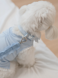 Load image into Gallery viewer, My Favorite Color Collar - Baby Blue