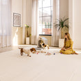 Load image into Gallery viewer, Pet Play Easy Mat 4mm Thickness