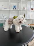 Load image into Gallery viewer, Preppy Knit Skirt