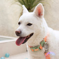 Load image into Gallery viewer, Waterproof Collar (Macaron)