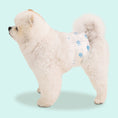 Load image into Gallery viewer, Bosom Diapers
