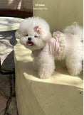 Load image into Gallery viewer, Vancci Bear Top - Beige