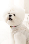 Load image into Gallery viewer, Loving Collar