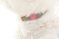 Load image into Gallery viewer, Loving Collar