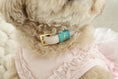 Load image into Gallery viewer, Loving Collar