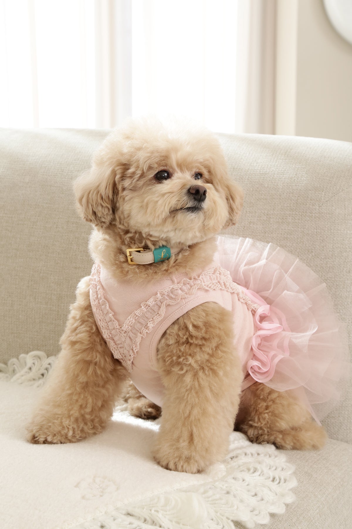 Loving Collar