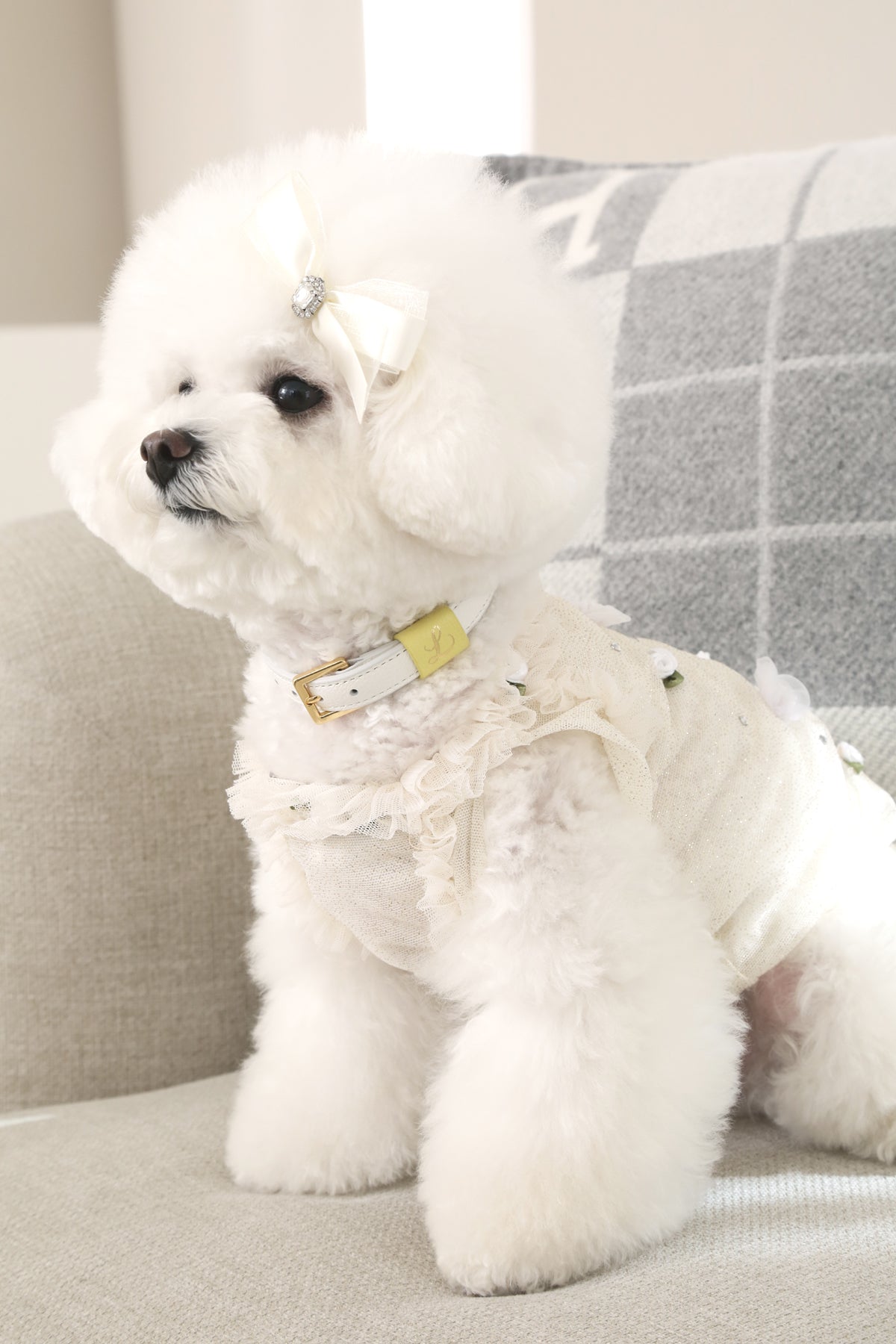Loving Collar