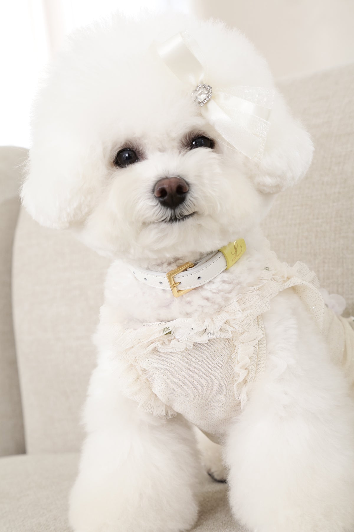 Loving Collar