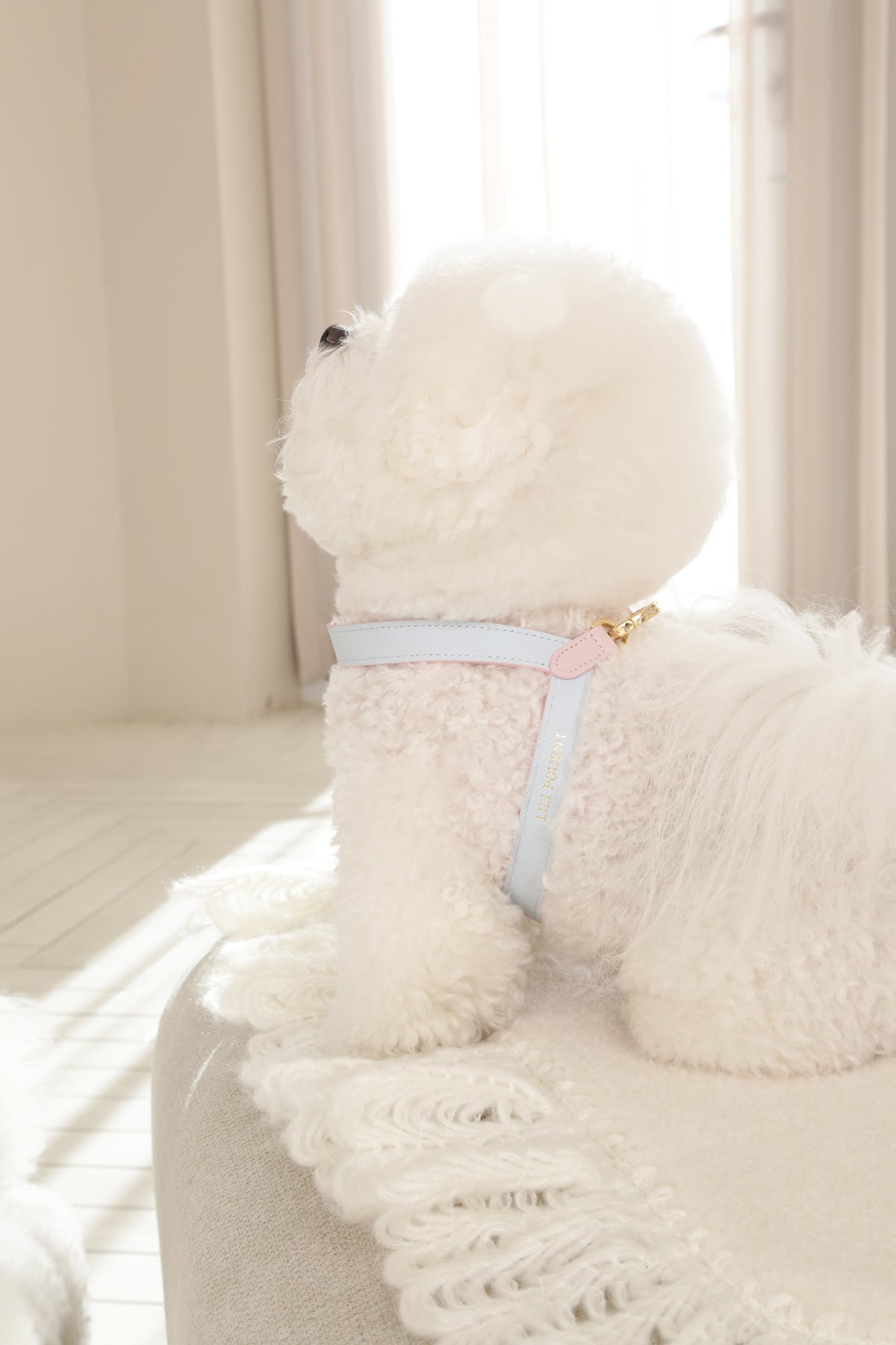 Two Tone Reversible VV Harness
