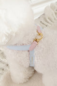 Load image into Gallery viewer, Two Tone Reversible VV Harness