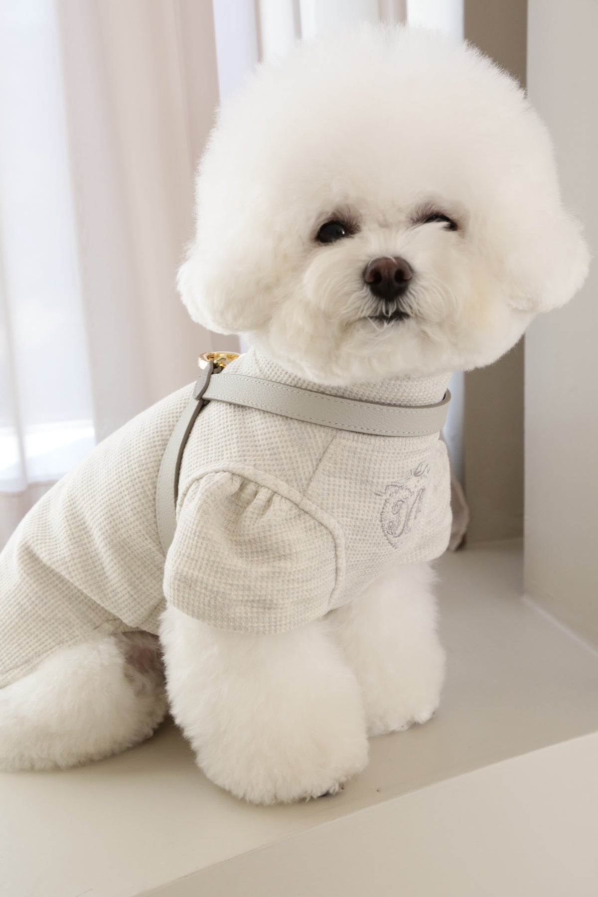 Two Tone Reversible VV Harness