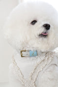 Load image into Gallery viewer, Loving Collar