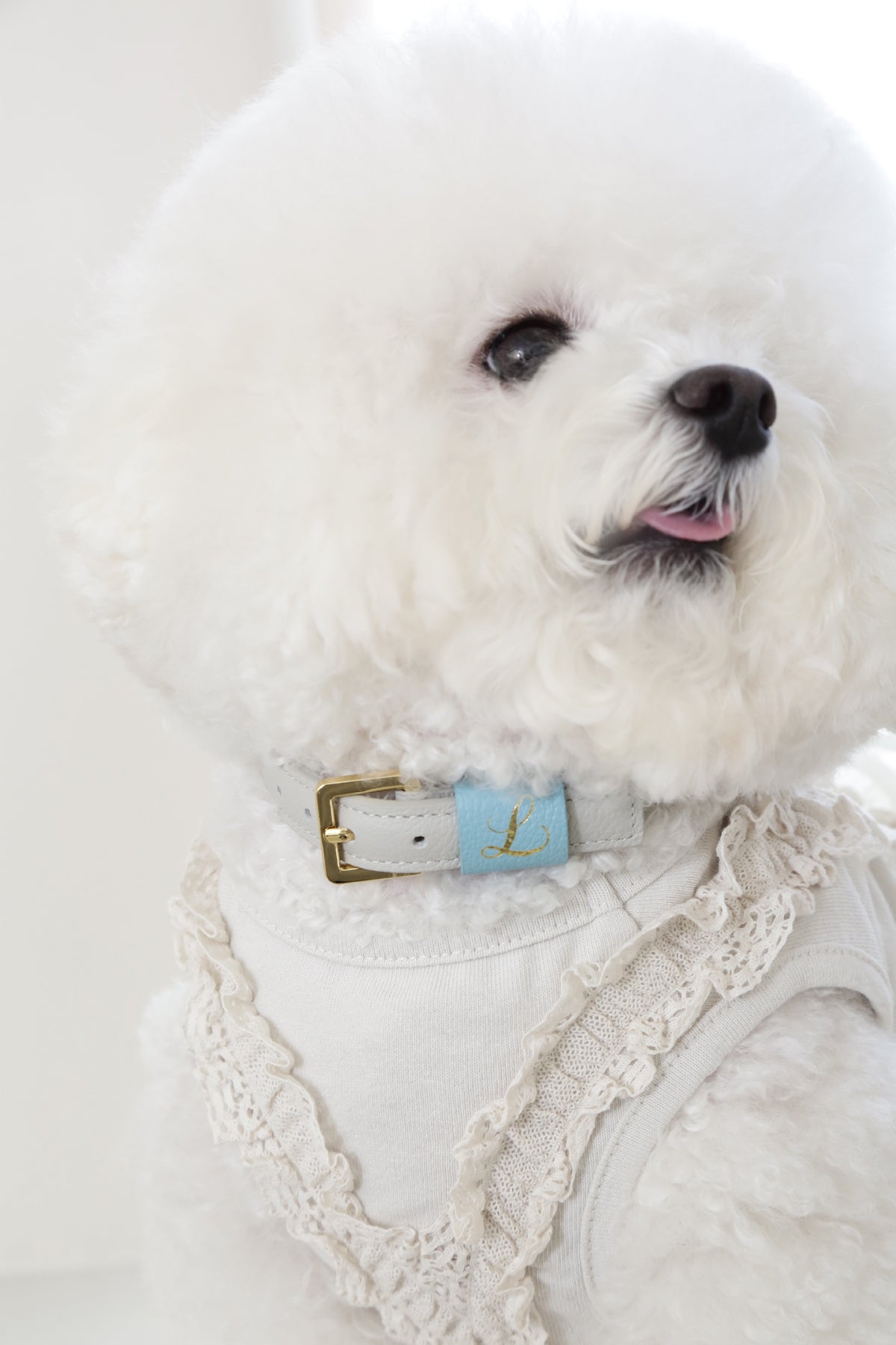 Loving Collar