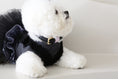 Load image into Gallery viewer, Loving Collar