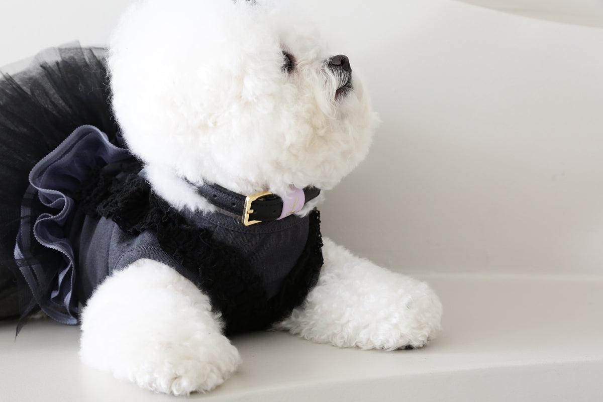 Loving Collar
