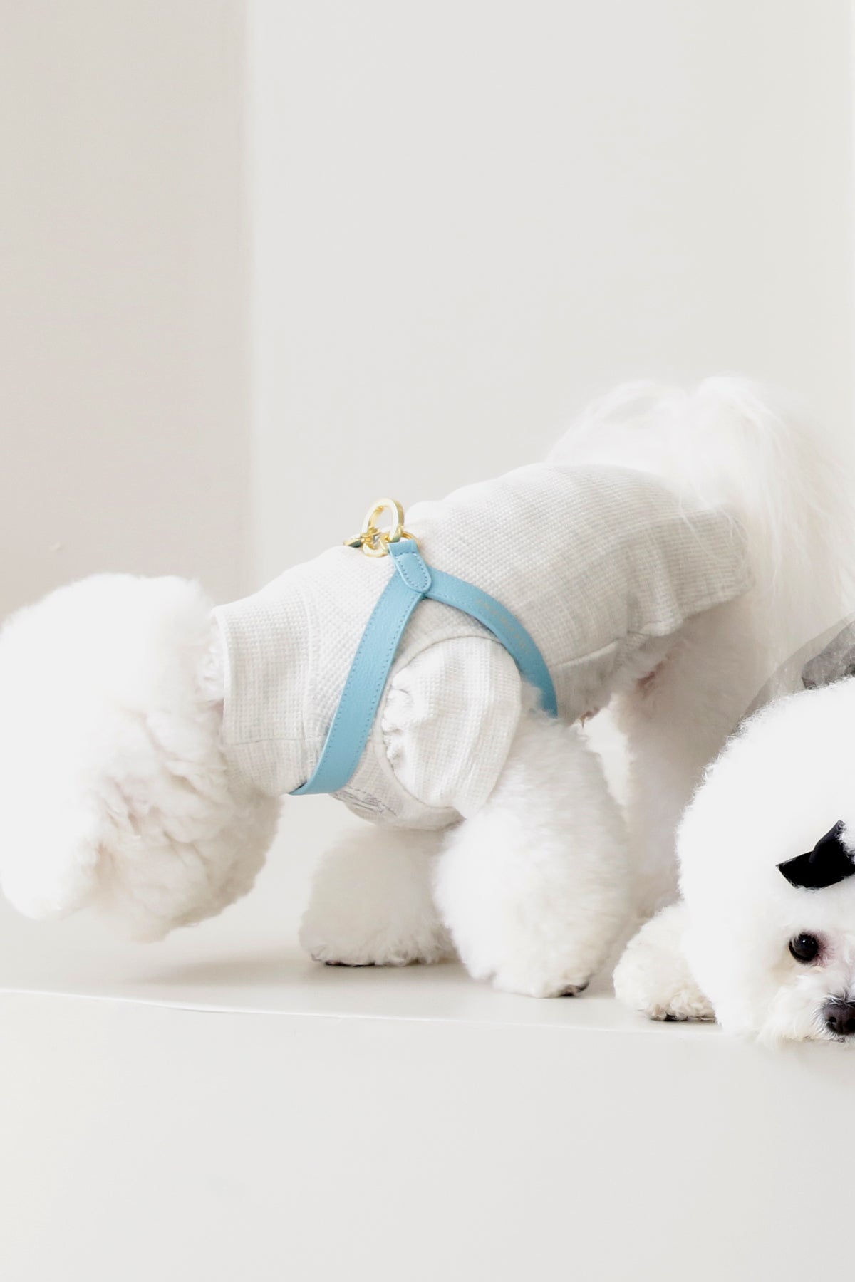 Single Tone VV Harness