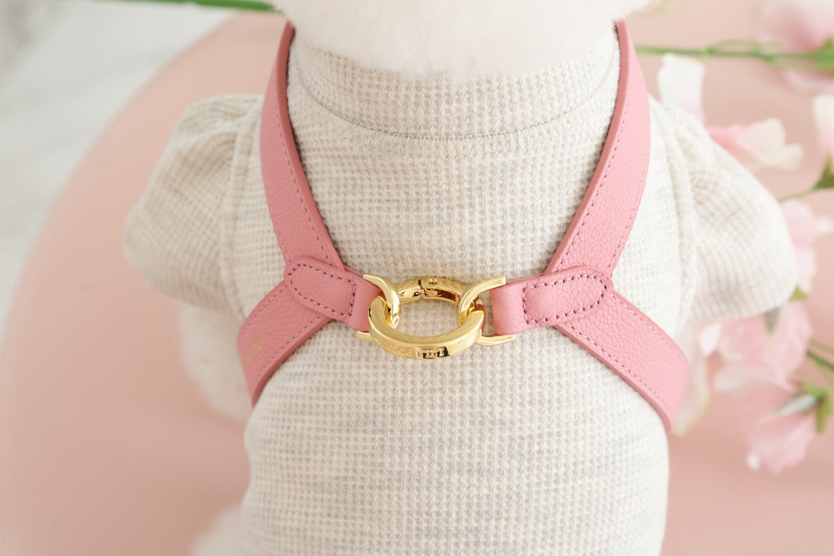 Single Tone VV Harness