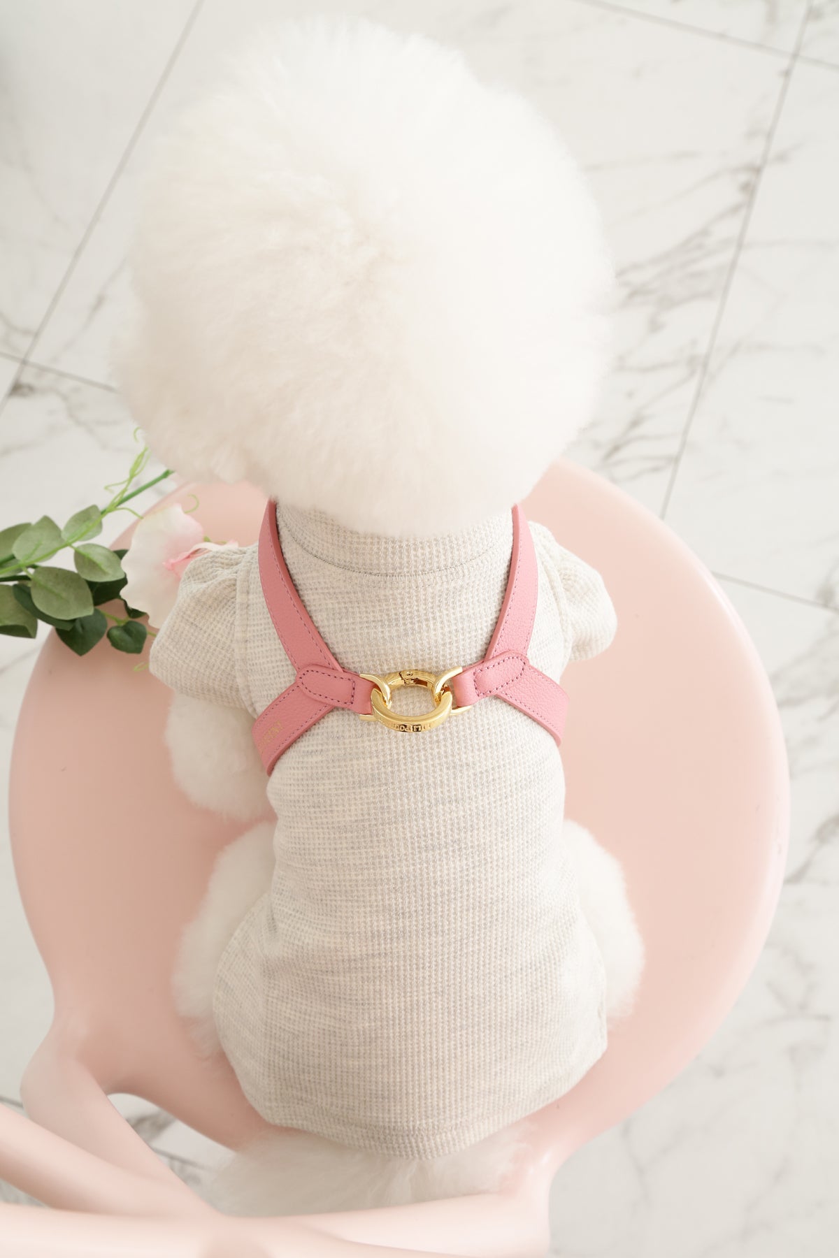 Single Tone VV Harness