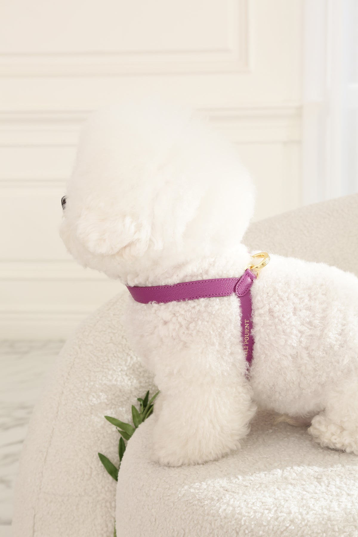 Single Tone VV Harness