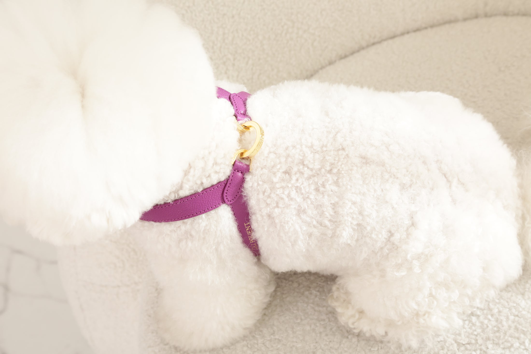 Single Tone VV Harness