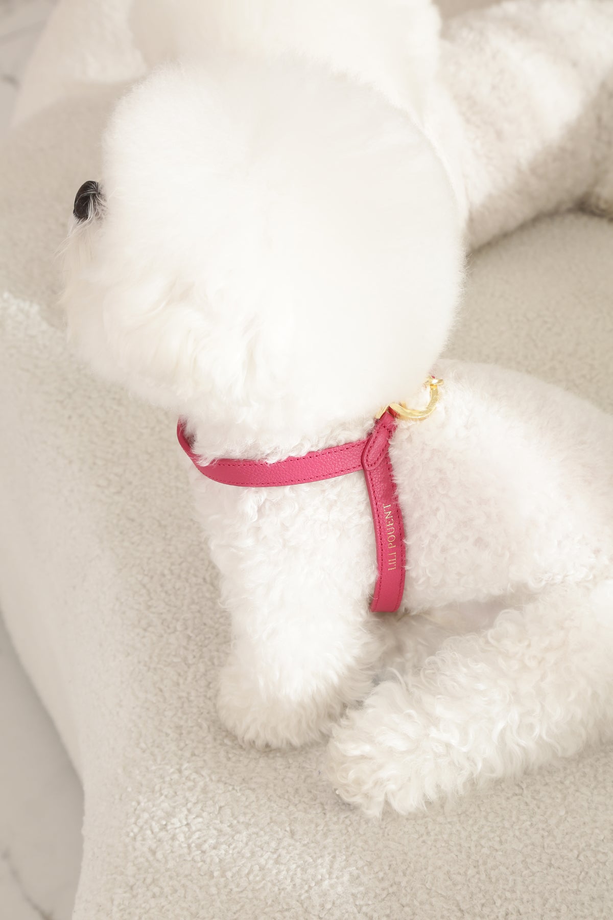 Single Tone VV Harness