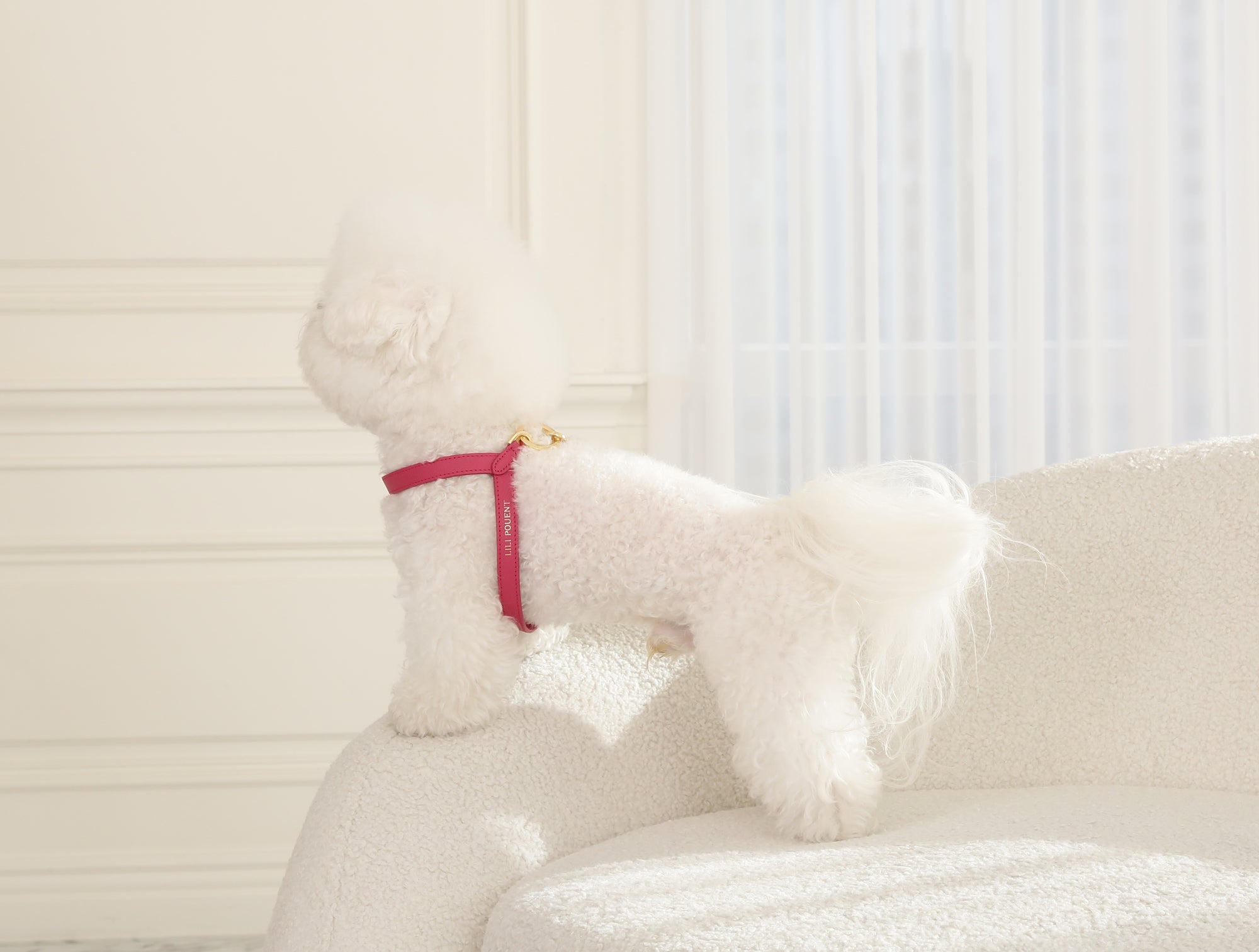 Single Tone VV Harness