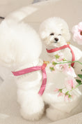 Load image into Gallery viewer, Two Tone Reversible VV Harness