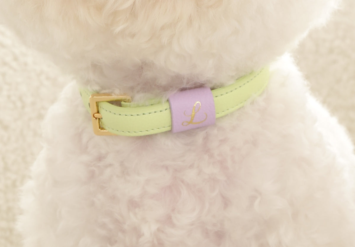Loving Collar