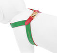 Load image into Gallery viewer, Two Tone Reversible VV Harness