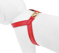 Load image into Gallery viewer, Two Tone Reversible VV Harness