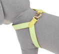 Load image into Gallery viewer, Two Tone Reversible VV Harness