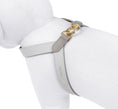 Load image into Gallery viewer, Two Tone Reversible VV Harness