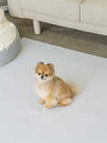 Load image into Gallery viewer, Pet Play Mat - Rug 4mm/7mm Thickness