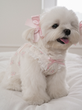 Load image into Gallery viewer, Rose Smoothie Sleeveless