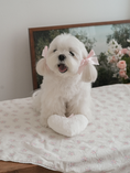 Load image into Gallery viewer, Rose Smoothie Heart Mini Cushion Keyring