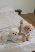 Load image into Gallery viewer, My Favorite Color Ops - Baby Blue