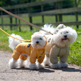 Load image into Gallery viewer, Mesh Coverall SO-OW011
