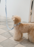Load image into Gallery viewer, My Favorite Color Leash - Baby Blue