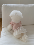 Load image into Gallery viewer, Pink Ballerina Chiffon Skirt